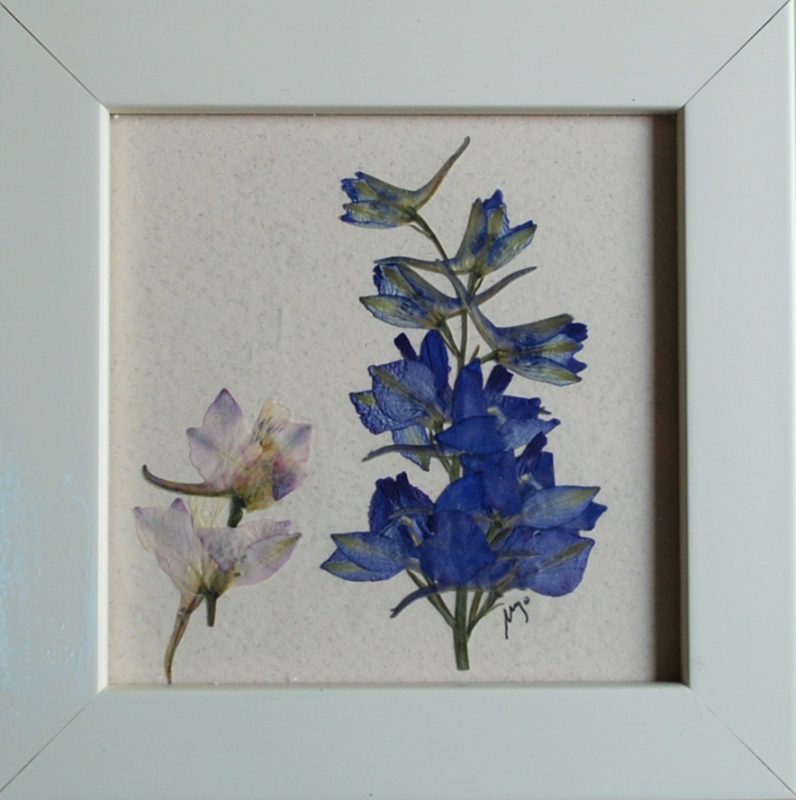 Flores