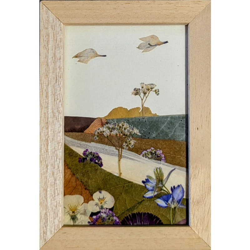 Miniaturas